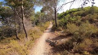 Fermerona DH