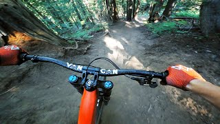The Steepest Trails I've Ever Ridden // Fernie...