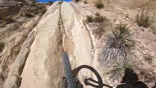 CHUNKY SIDESHOW : MTB