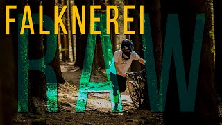 Heidelberg Falknerei 2020 | RAW | Downhill/Enduro