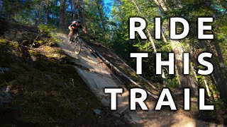 One of the BEST trails in Nelson? Newtsac!