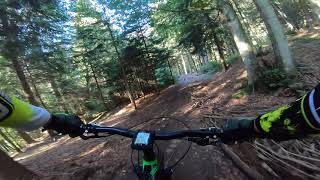 Goonies trail - Paganella Bike Park [MTB RAW]
