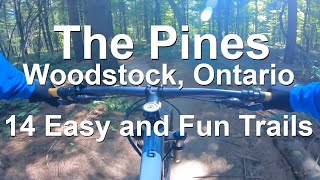 The Pines Woodstock | Compilation of 14...