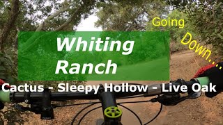 Whiting Ranch MTB | Cactus | Sleepy Hollow |...