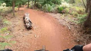 Murray Valley Busted Nuts