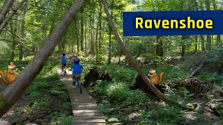 Ravenshoe with my kids