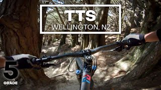 CHUTES AND ROOTS - 'TTS' Mountain Bike Trail...