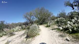 Tortolita Preserve