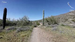 Ocotillo Trail