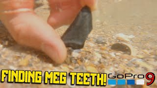 Finding Megalodon Teeth In Florida With GoPro...