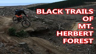 Mountain Biking Trails of MT. HERBERT, Oamaru...