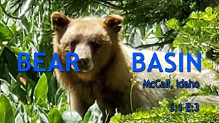 Mountain Biking Bear Basin near McCall Idaho