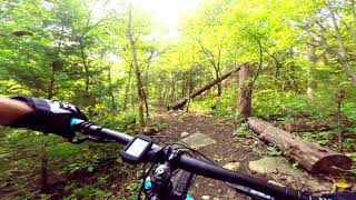 Indigo trail