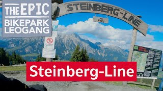 diameter Unconscious In particular Steinberg Line by FOX Mountain Biking Trail - Leogang