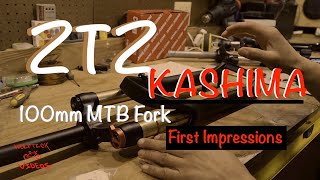 Budget 100mm ZTZ Kashima MTB Forks First...