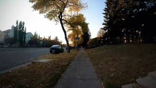 Silver springs calgary fall 2020