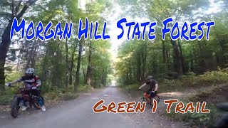 Morgan Hill State Forest MTB | Fabius NY |...