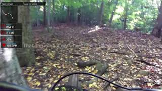 Red Trail Uphill - 10-3-20