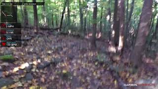 Orange Trail -10-3-20