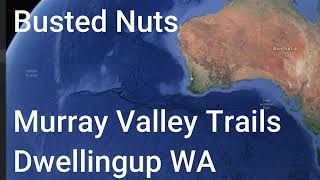 Busted Nuts