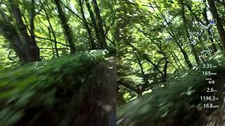 Bacon Creek Park Mountain Bike Trails Sample