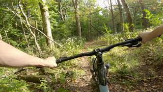 White Ash | Stroud's Run (Athens, OH)