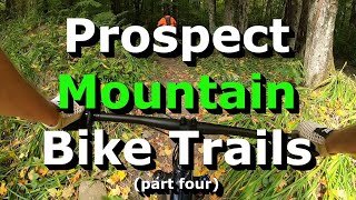 Bear Trail