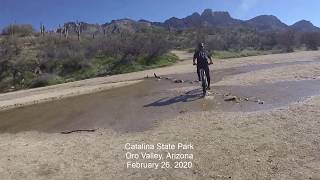 Cycling Catalina State Park