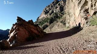 Wagon Trail