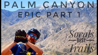 Palm Canyon Epic Part 1 Socals best MTB trails
