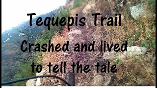Tequepis - 'Crashed and lived to tell the tale'