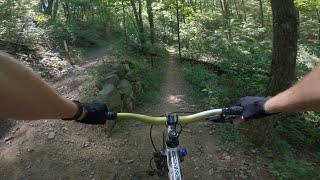Barred Owl Trail POV - White Oak Mountain -...