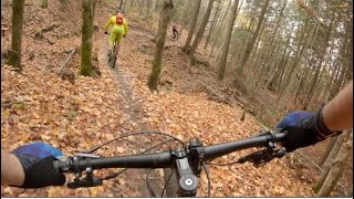 Kingdom Trails - NewT Fall 2020