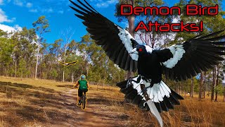 Demon Bird Attacks!
