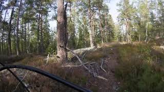MTB Järna - Track - SS3:1