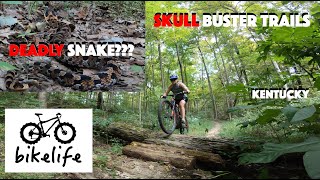 Skull Buster Mountain Bike Trails - Would You...