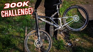 DAS BILLIG BAUMARKT DOWNHILL BIKE - 300K...