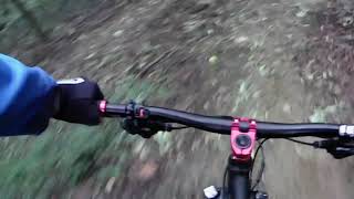 MTB Castagneto Po! TRAILFORKS Trail Carla...