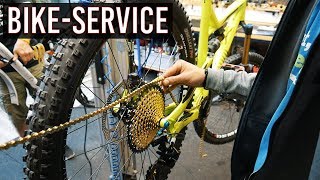 FREERIDE BIKE SERVICE bei Messingschlager UND...