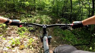 Beige // Fork Run Recreation Area // Trail Preview