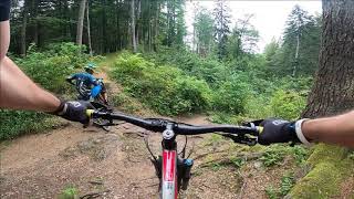 CRUCURI TRAIL BRASOV