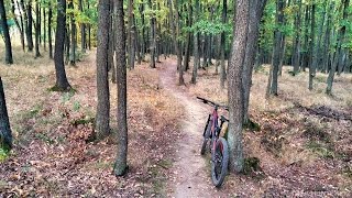 Trail Holedná (stezka vhodná pro MTB, Brno)