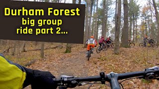 Durham Forest - trails north of the parking lot...