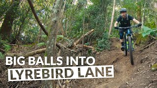 Another new MTB trail at Bulli!  Big Balls...
