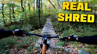 GoPro Hero 9 HyperSmooth Stabilization Test (MTB)