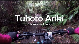 Tuhoto Ariki - Rotorua, Whakarewarewa Redwoods