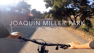 Chasing single tracks at JMP (Big Trees,...