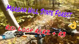 Morgan Hill | Fabius NY | Red 1, Red 2 and Red 3