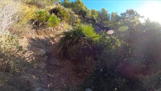 Toboganes on the Rocks