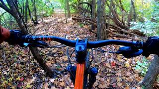 Rouge Park Mountain Bike Trail in Detroit